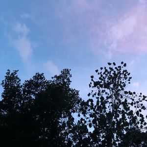 Meet your Posher, Adriana